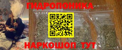 шишки Балашиха