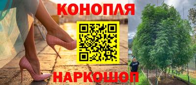 шишки Балашиха